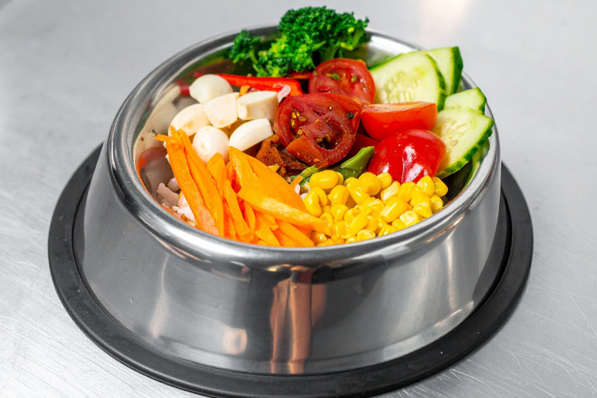 Ernährungsberatung Hund