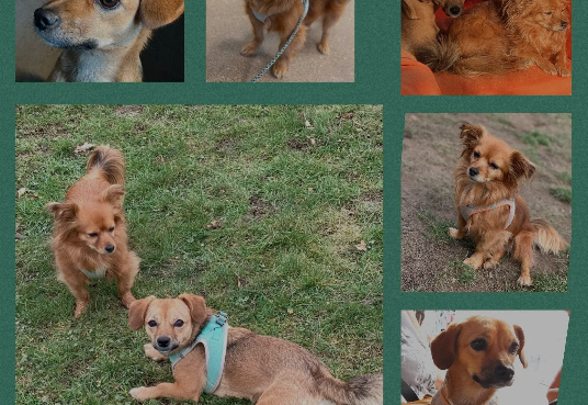 Screenshot 2026-01-05 102444